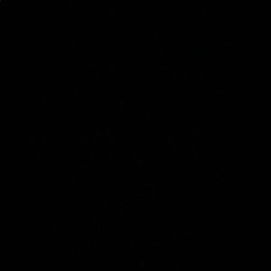 Meet your Posher, Danae